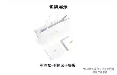 DIOR BookTote Tote