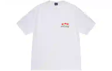 Stussy SS23 STUSSY DESIGNS USA TEE T