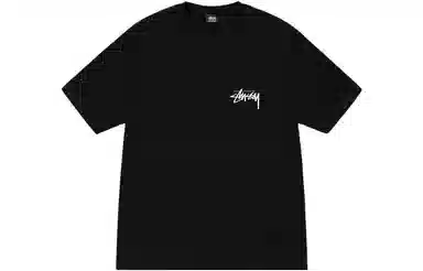Stussy Diced Out Tee