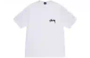 Stussy Diced Out Tee