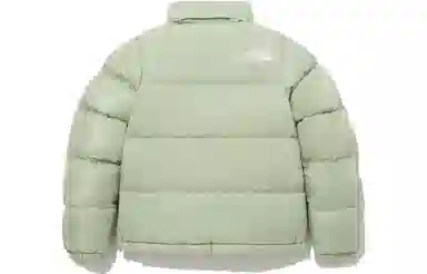 The North Face Nuptse Green