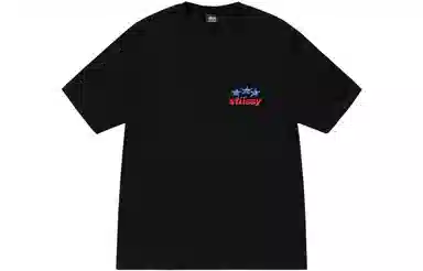 Stussy SS23 STUSSY DESIGNS USA TEE T