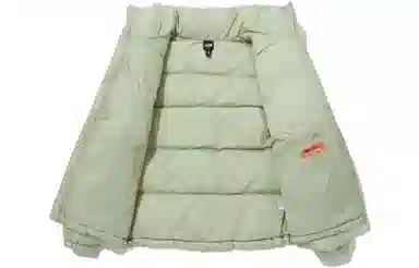The North Face Nuptse Green