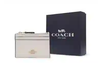 COACH Mini Id Skinny 11