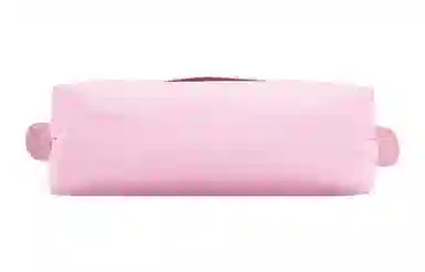 Longchamp Le Pliage Green 17 Pink