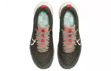 Nike Pegasus Trail 4