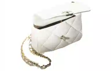 CHANEL 19Bag
