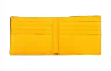 Gucci Neo Vintage Wallet