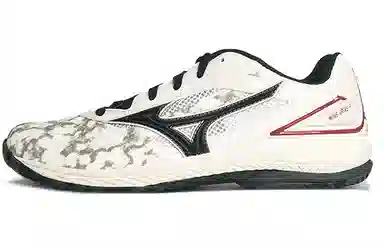 Mizuno Indoor Training Shoes