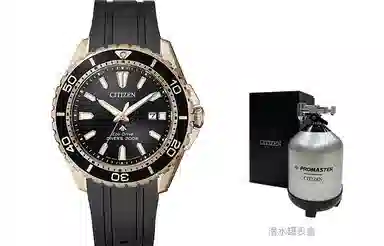 Citizen Promaster BN0193-17E