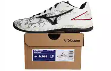 Mizuno Indoor Training Shoes