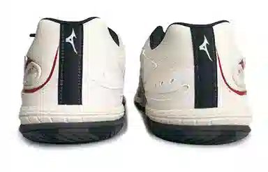 Mizuno Indoor Training Shoes