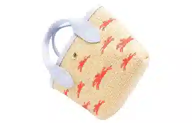 LONGCHAMP Le Panier Pliage