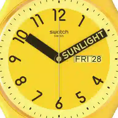 SWATCH 41mm SO29J702