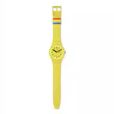 SWATCH 41mm SO29J702