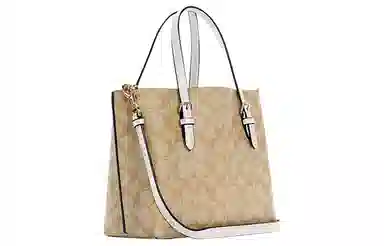 COACH Mollie 25 Tote