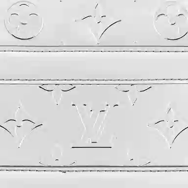 LOUIS VUITTON Handle Trunk