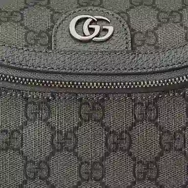 GUCCI Ophidia G