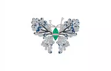 JAY S925