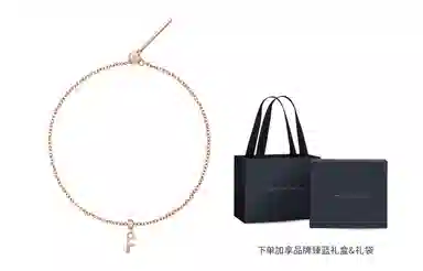 Daniel Wellington DW CHARMS DIY