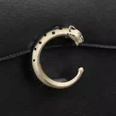 Cartier Panthère de Cartier