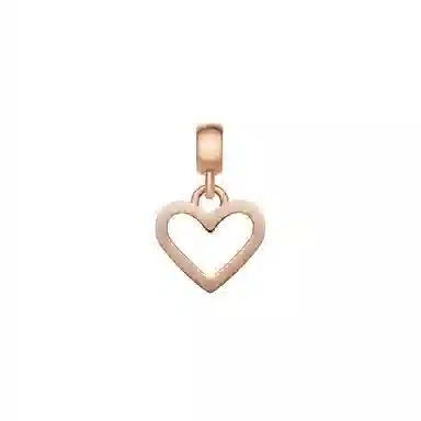 Daniel Wellington DW CHARMS