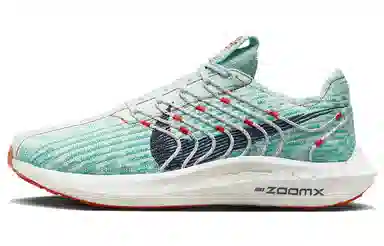 Nike Pegasus Turbo 1