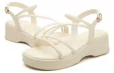DAPHNE PU 5cm