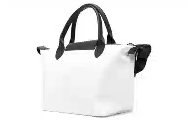 LONGCHAMP Le Pliage Energy 25