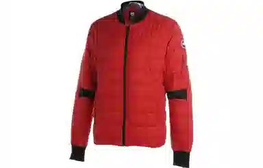 Canada Goose