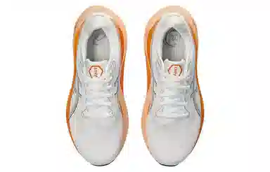Asics Gel-Kayano 30