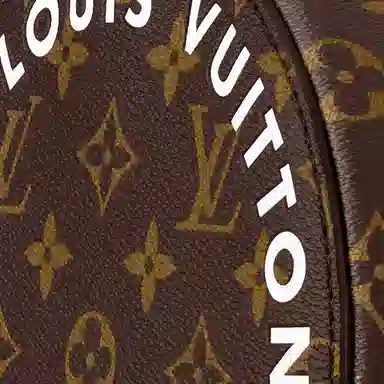 Louis Vuitton Soft Polochon Brown Monogram