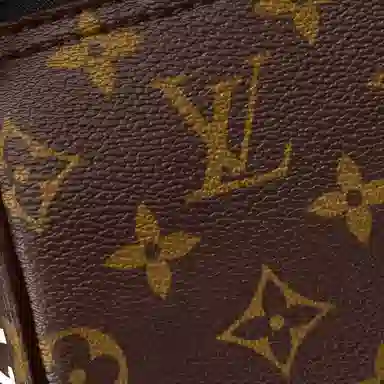 Louis Vuitton Soft Polochon Brown Monogram
