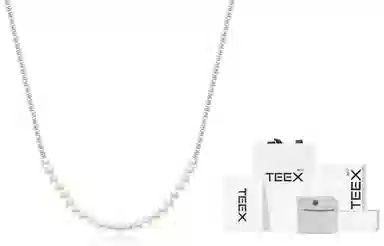 TEEX