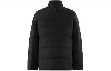 波司登 纯色立领短款防风鹅绒羽绒服 男款