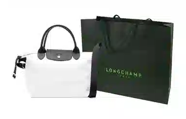LONGCHAMP Le Pliage Energy 25
