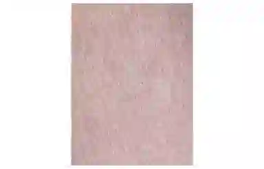 Acne Studios Logo Scarf Pink