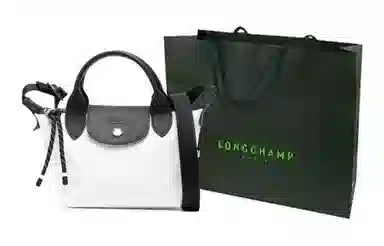 Longchamp Le Pliage Energy 17
