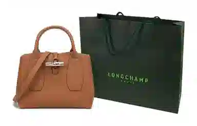 Longchamp Roseau 19