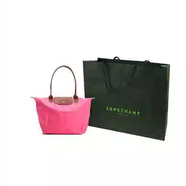 LONGCHAMP Le Pliage Original 31
