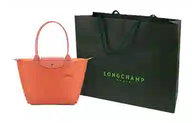 LONGCHAMP Le Pliage Green 28 Orange