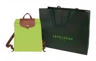 LONGCHAMP Le Pliage 26