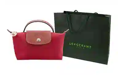 Longchamp Le Pliage 17