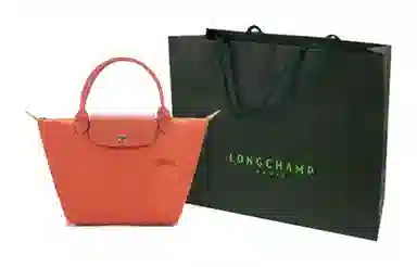 LONGCHAMP Le Pliage Green 23