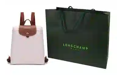 Longchamp Le Pliage 26