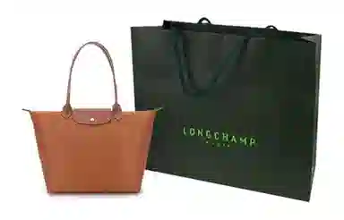 LONGCHAMP Le Pliage 31