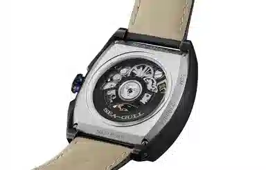 Sea-Gull 849.97.6166HK