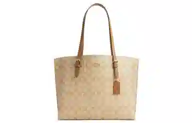 COACH Mollie 34 Tote
