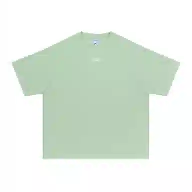 FEAROM T