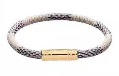 LOUIS VUITTON LV Keep It